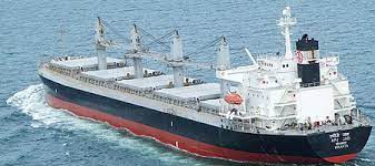 Apeejay shipping set plan to acquire 4 more ships