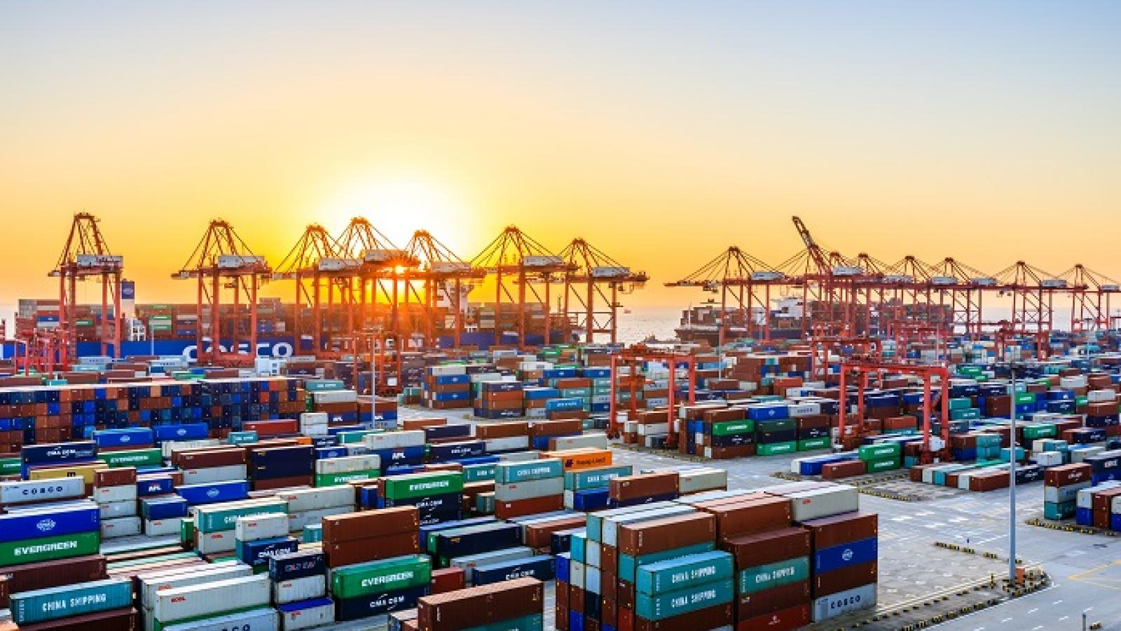 Container trading may accelerate in India