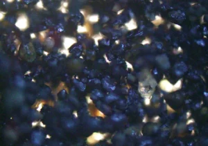 Valuable Vanadium found from Gulf of Khambhat