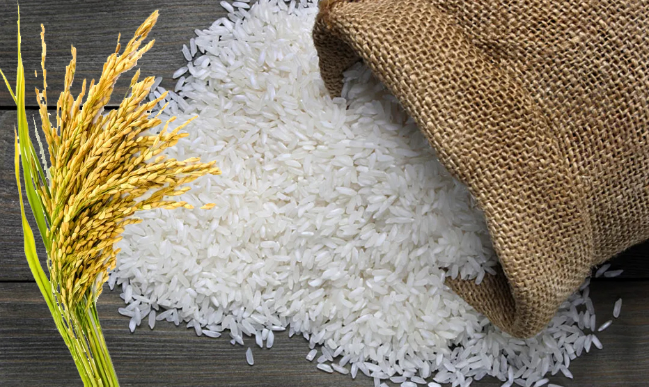 India's Basmati Export Restrictions: Causes, Controversies, and Future Outlook