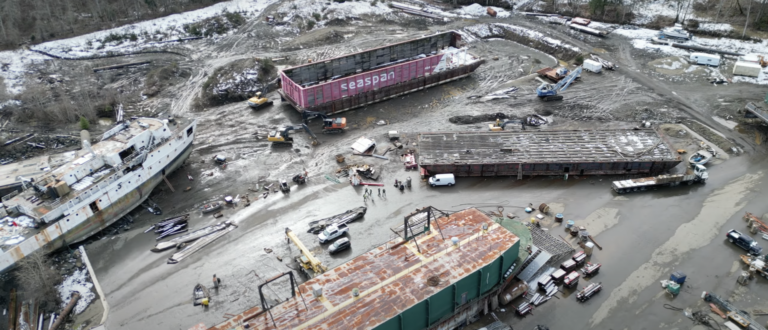 Urgent Action Needed To Address Concerns Over Shipbreaking In Union Bay